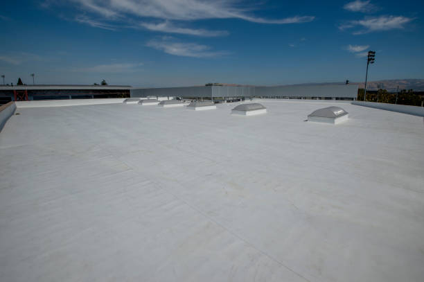Best Storm Damage Roof Repair  in North Lewisburg, OH