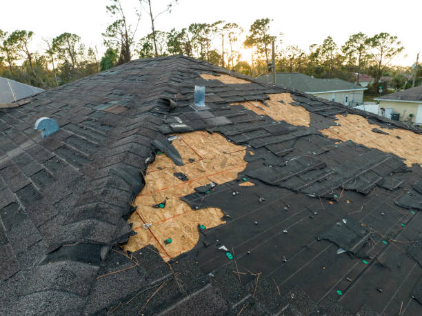 Best Roof Insulation Installation  in North Lewisburg, OH
