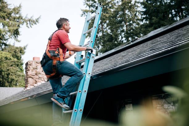 Best Sheet Metal Roofing  in North Lewisburg, OH