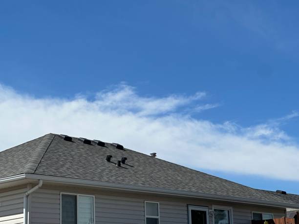 Best Solar Panel Roofing Installation  in North Lewisburg, OH